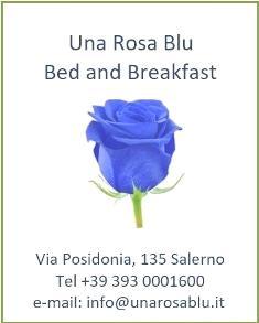 Rosa blu, rosa blu, blu, rosa blu png